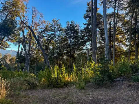 Venta lote Villa La Angostura