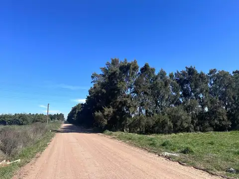 Venta de Campo de 2.82 hectáreas Camino Garcés