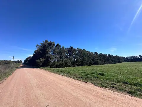 Venta de Campo de 2.82 hectáreas Camino Garcés    