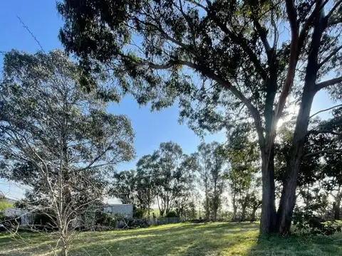 VENTA LOTE EN BARRANCAS DE SAN BENITO