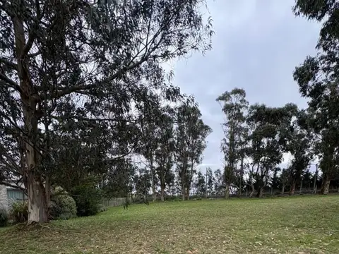 Terreno en Venta en Barrancas De San Benito, Barrio Chapadmalal