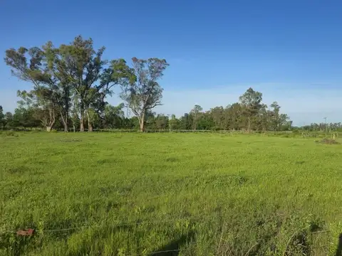 Terreno en Venta de 40000,0 m2