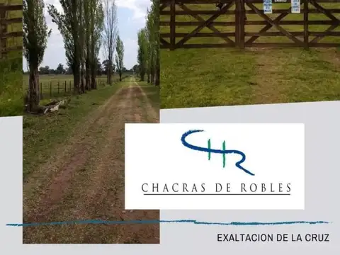 Venta de Chacra en Capilla del Señor - 5000m2