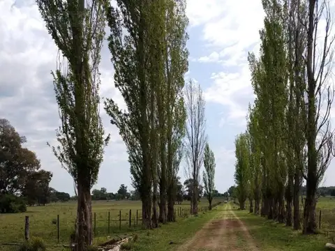 Terreno en Venta de 5000,0 m2