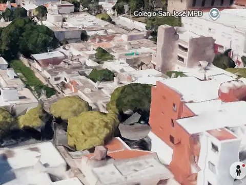 Maestro Vidal 100