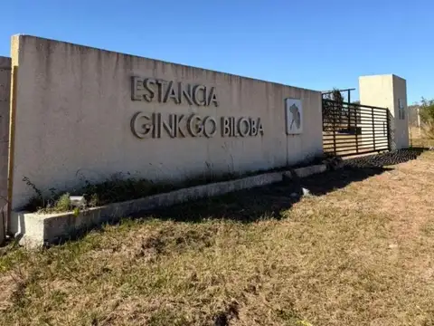 Terreno en Venta en Los Molinos, USD 55.000
