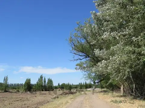 Terreno en el Loteo la Rufina Etapa III