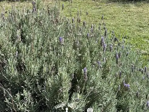 Terreno Residencial en venta en Chacras del Mar, Mar Azul