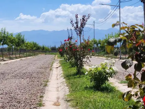 Venta Lote 900 m2 B° Atardeceres de Vieytes