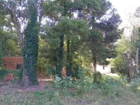 Terreno en Venta en Las Dalias, Mar del Plata