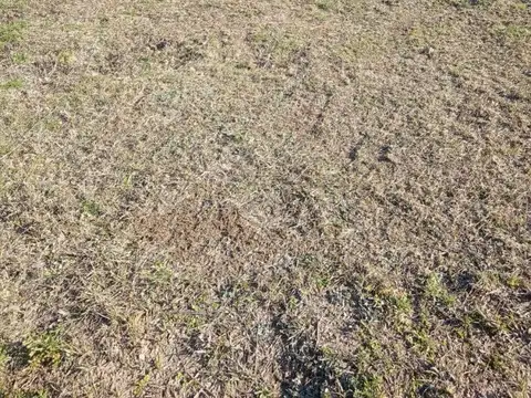 Terreno en Venta en Bialet Masse, USD 18.000