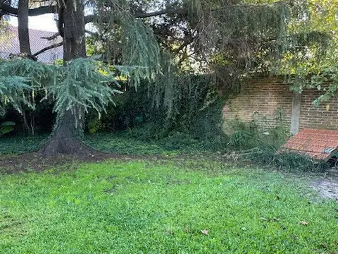 Doctor Salvador Mazza 3500