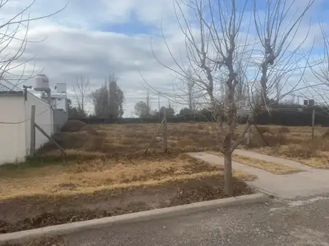 Terreno en Venta de 1100,0 m2