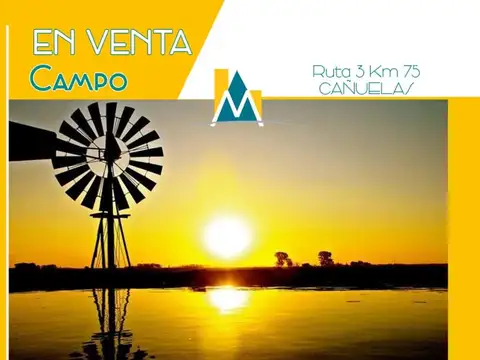 Campo en Venta en Gobernador Udaondo, Partido de Cañuelas