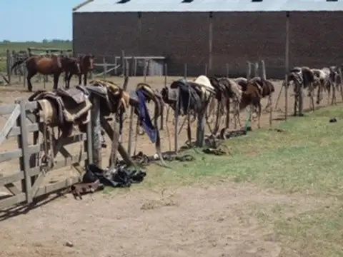 Campo en Venta de 90  ha