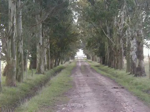 Campo en Venta Haras