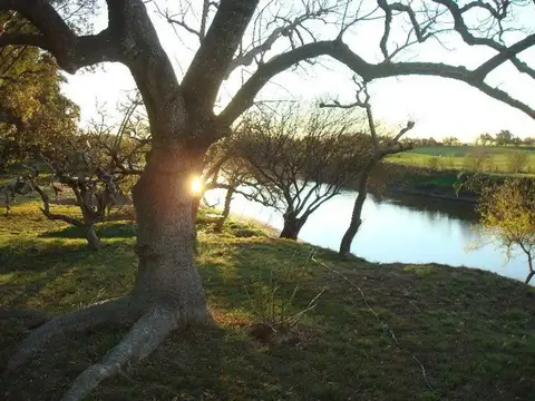 Terreno en Venta de 4751,0 m2