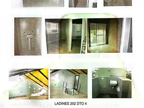 Ladines 200