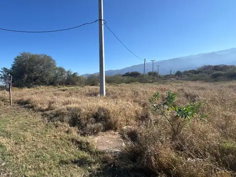 Avenida Ojo de Agua