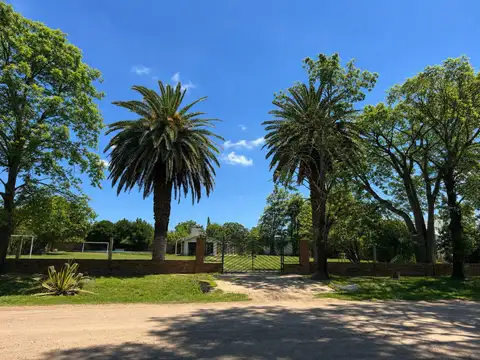 Zamora 200