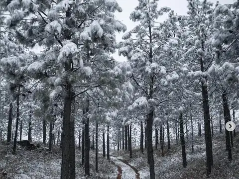 Terreno en Venta en San Clemente, USD 69.500