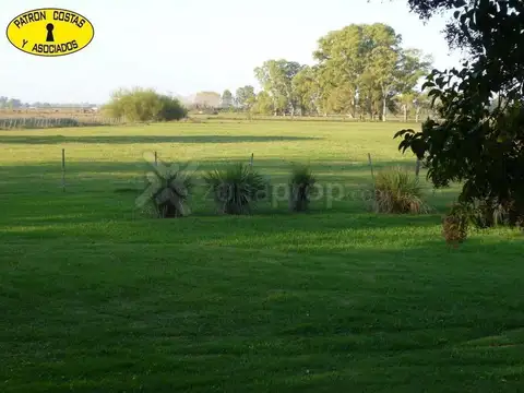 Chacra Con Casa Pileta Galpón Casa Huéspedes Rp 192