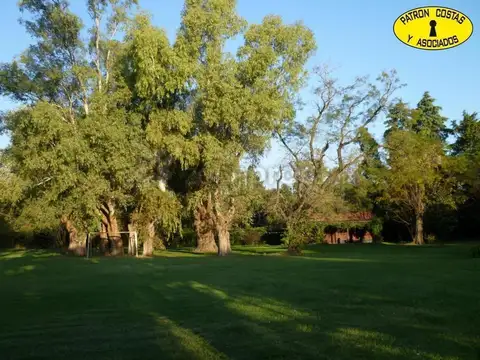Venta de quinta-chacra de 3,2 hectáreas en Torres
