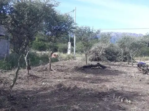 Terreno 1039Mts2 en "La Dorotea", Carpinteria SL