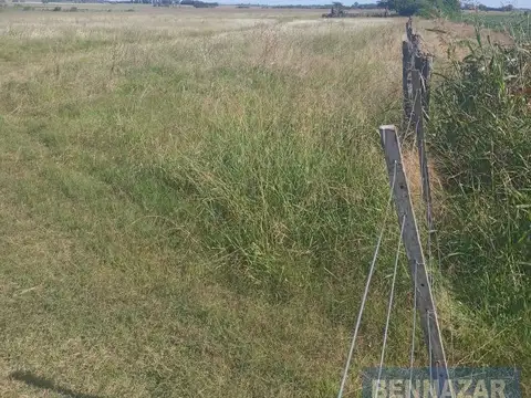 Venta Campo 12 Hectáreas en Río Tala