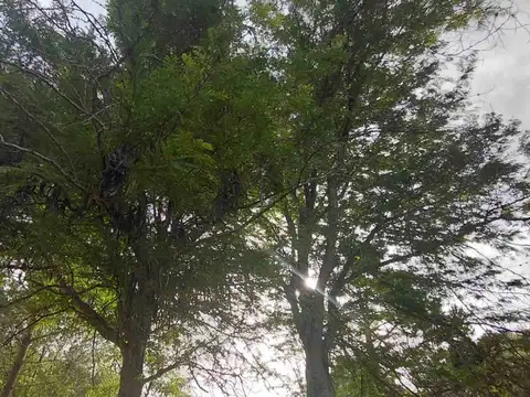 Rio Sauce Grande y Cangallo