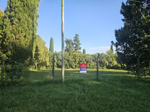 Excelente lote arbolado en zona Abadia, calle Mocoretaes - 1.084 m2