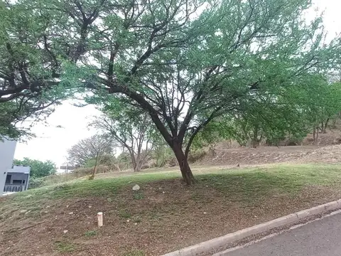 Terreno en Venta de 770,0 m2
