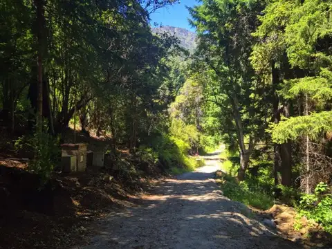 Terreno en Venta 37,70  mts Fondo