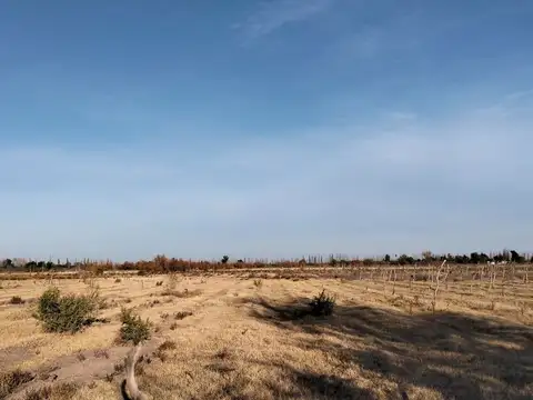 Venta finca en real del padre, san rafael, mendoza