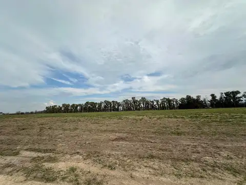 Complejo Industrial Ruta 6 Lujan