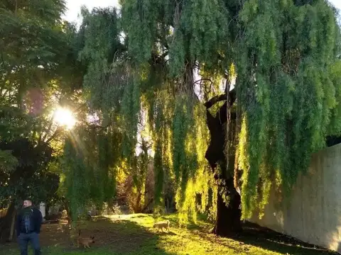 Terreno en Venta en Victoria, Entre Ríos