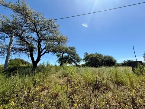 Terrenos sobre Rosignolo, Cortaderas III