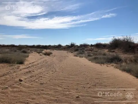 Campo en venta de 2785 has en Neuquen