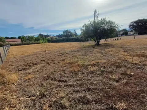 Terreno en Venta en Zona Centro, USD 40.000