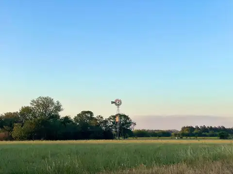 VENTA de Campo en Baradero