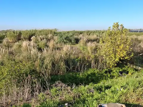 Terreno en Alquiler de 20000,0 m2
