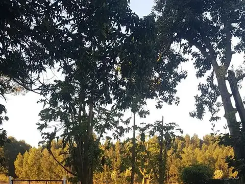 Casa en Venta 1 año