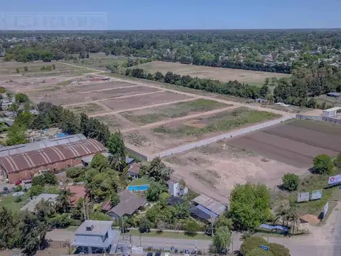 El Olivar, Del Viso, Pilar