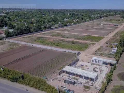 El Olivar, Del Viso, Pilar