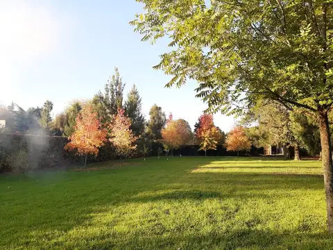 Terreno en Venta 66  mts Fondo