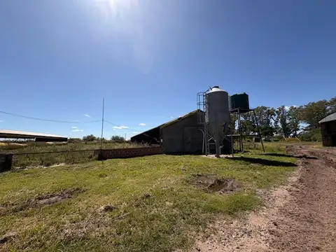 Ruta 51 Zona Rural