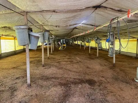 Campo en Venta Granja