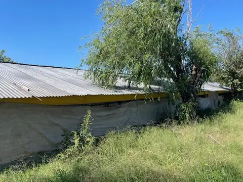 Campo en Venta Granja