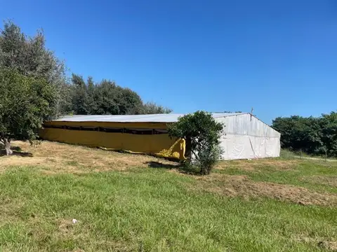Campo en Venta en San Pedro, Partido de San Pedro