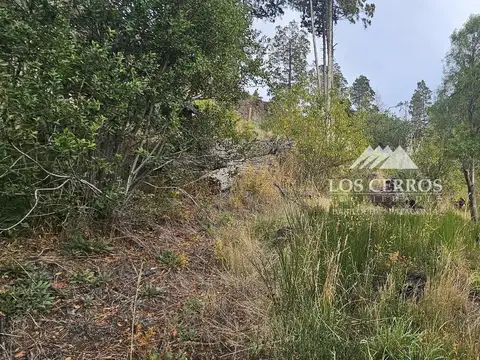 Los Pumas  al 6600, Altos de Quinchahuala